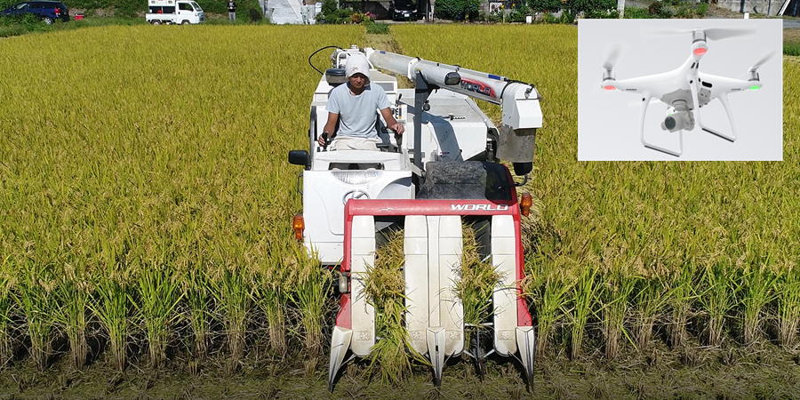 空撮　池田農園稲刈り